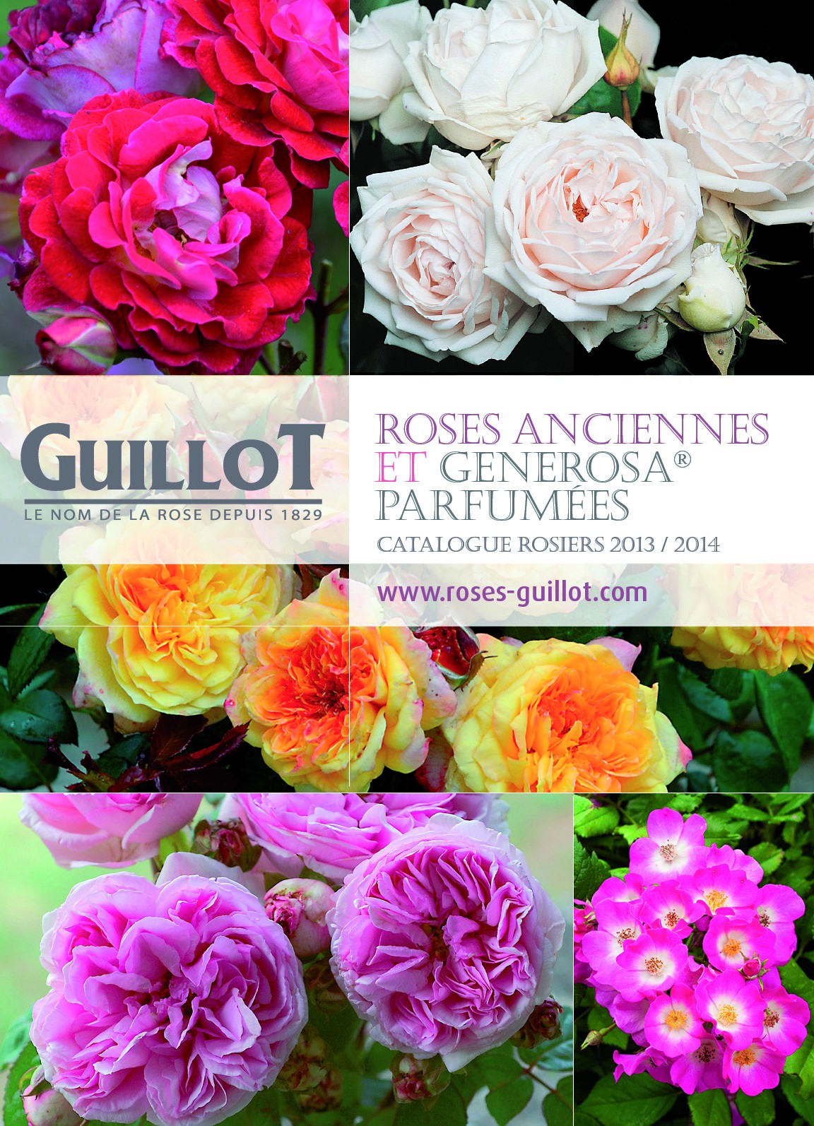 Guillot 2013